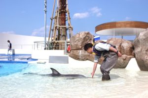 大分マリーンパレス水族館うみたまご