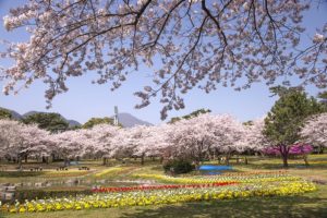 別府公園